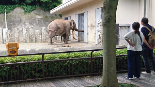 ���ͻ�Ω����ưʪ�� ����ɥ���