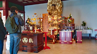 ������ ������