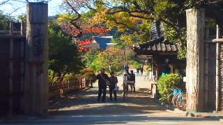 ����� ����