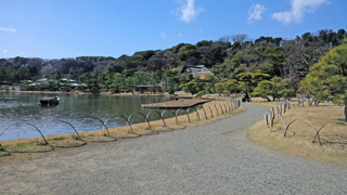 ����� ����