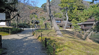 ����� ���