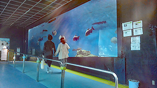 Ȣ�����²�� �����