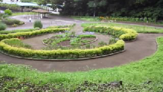 くりはま花の国 四季の花壇