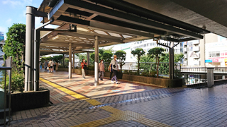 ƣ���إڥǥ��ȥꥢ��ǥå�