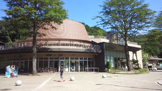 ���蘆������Фβʳش� ����