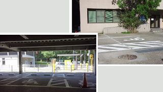 ���蘆������Фβʳش� ��־�