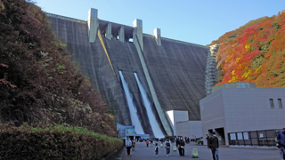 �ܥ�������