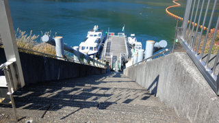 ͷ�����ߡ����