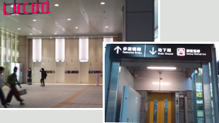 LUCUA�����������������Υ���١���