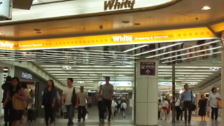 Whity�����