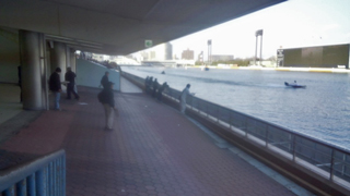 ��Ƿ�������� �����������