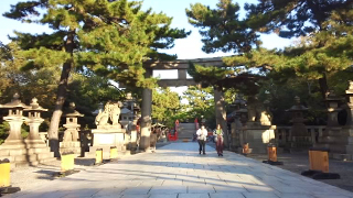 ������� ɽ��ƻ