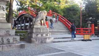 �������ȿ��