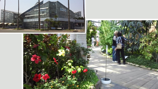 �餯�䤳�βִ�