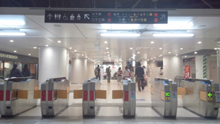 ������ ��Ʋ��������