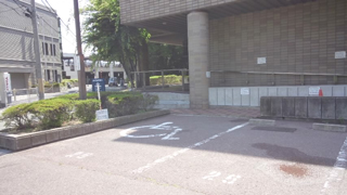 ���Ļ�ʸ����� ��־�