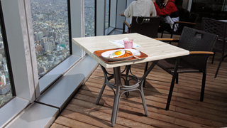 ���ե������˥󥰥С�SKY GARDEN 300