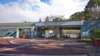 �����Ω�֤�ʸ���� ���ॲ����