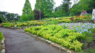 �����Ω�֤�ʸ���� ��������