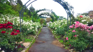 �����Ω�֤�ʸ���� �Х��