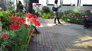 �����Ω�֤�ʸ���� �粹��