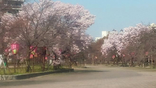 ¤ʾ�� �����̤�ȴ��