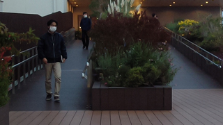 ����ݶ��� ��������