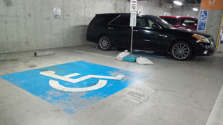 �٥�ޡ������ ��־�