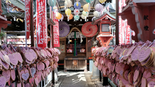 ������ټ�