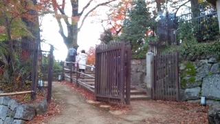 ����ŷ���� ��ߤ���