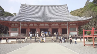 醍醐寺 金堂