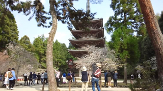醍醐寺 五重塔