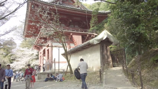 醍醐寺 仁王門