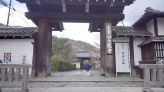 天龍寺 総門