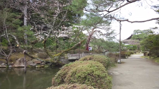 ʿ�¿��� �����