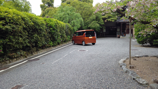 �����ζ�»� ��̳������־�