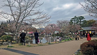 �߻�����