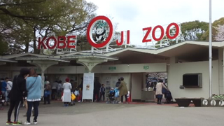 ����ưʪ�� ���̥�����