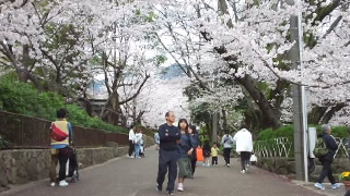 ����ưʪ�� ��ϩ