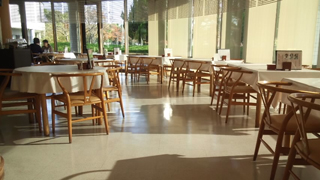 �ӥ��ȥ� �������!!