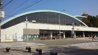 �������ΰ�� ����