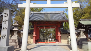 ���ܿ��� ɽ����