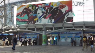 ������Ͼ� ����