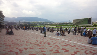 ������Ͼ� �������Ͼ�褤