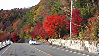 ��ͭ�ɥ饤�֥�����