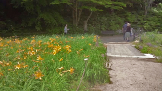 ϻ�ù⻳��ʪ��