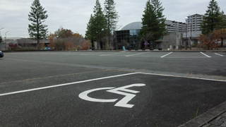 �ͤȼ�������ʪ�� ��־�