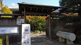 ������ë����Ϻ��ǰ�� ����