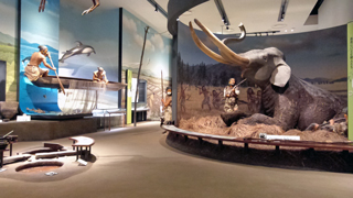 ʼ�˸�Ω�͸���ʪ�� �ơ���Ÿ����