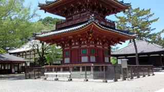 ���ӻ� ���Ť���